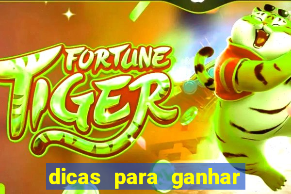 dicas para ganhar no fortune rabbit